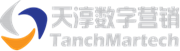 天淳数字营销